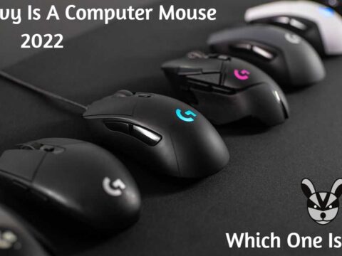 How Heavy is a Computer Mouse